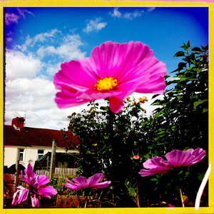 Hip 335709511.820775