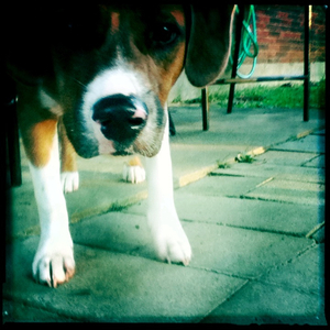 Hip 335014951.272935