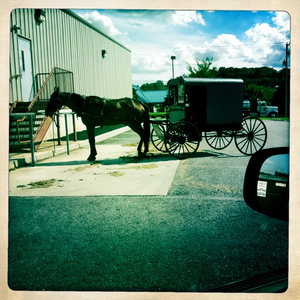 Hip 335736328.849346