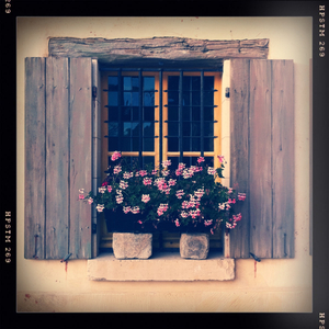 Hip 334863777.259629