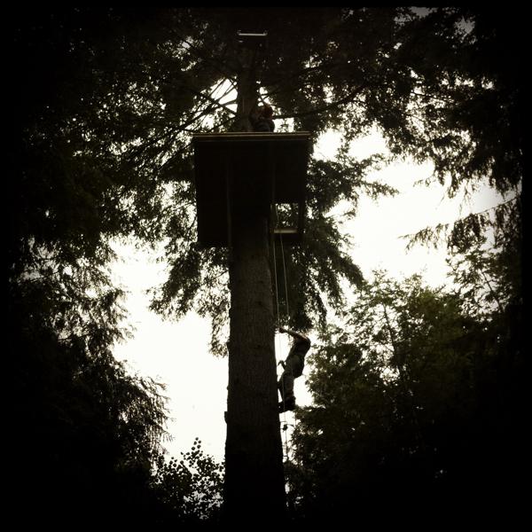 Hip 335453217.929767