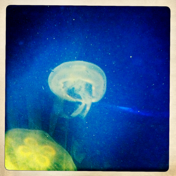 Hip 335735681.879194