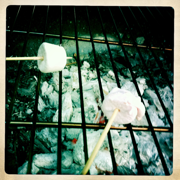 Hip 331329477.114336