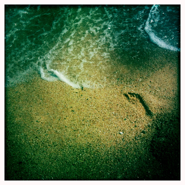 Hip 333556206.006633