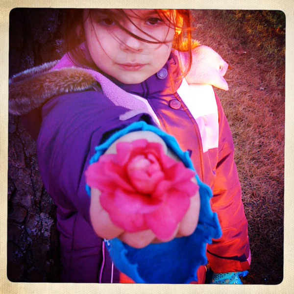 Hip 317948718.691691