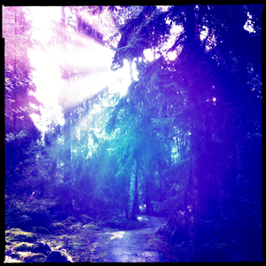 Hip 335598673.964291