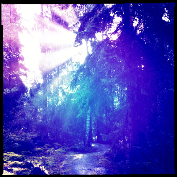 Hip 335598673.964291