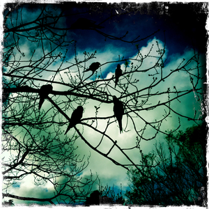 Hip 335655925.361027