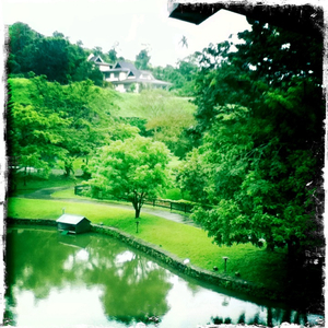 Hip 334212786.360854