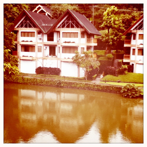 Hip 334280071.329849