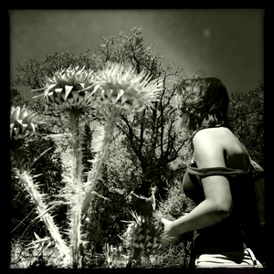 Hip 335613938.578880