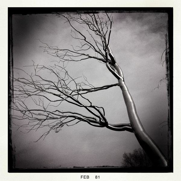 Hip 320529680.928855