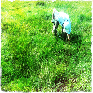 Hip 332348010.586103