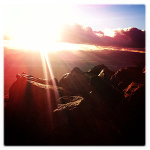 Hip 318818561.116315