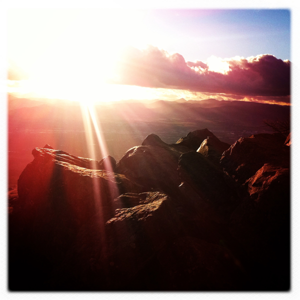 Hip 318818561.116315