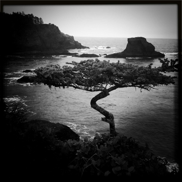 Hip 317942597.967217