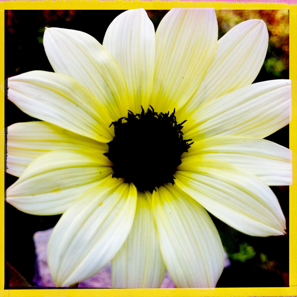 Hip 335741868.495813