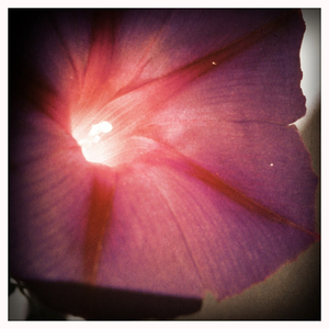 Hip 335641648.799660