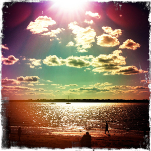 Hip 335738659.304963