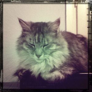 Hip 325112203.347192