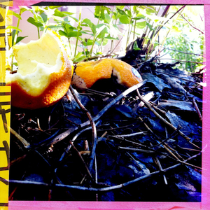 Hip 327799664.467503