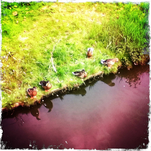 Hip 333986507.110652