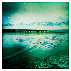 Hip 335617838.288459