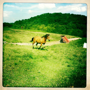 Hip 335564964.711167