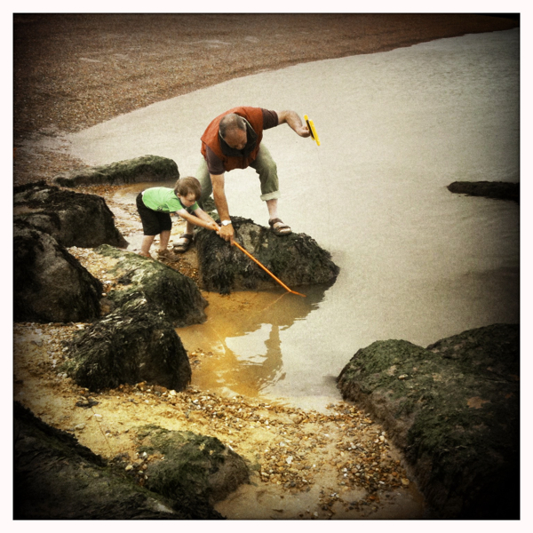 Hip 334681272.236111