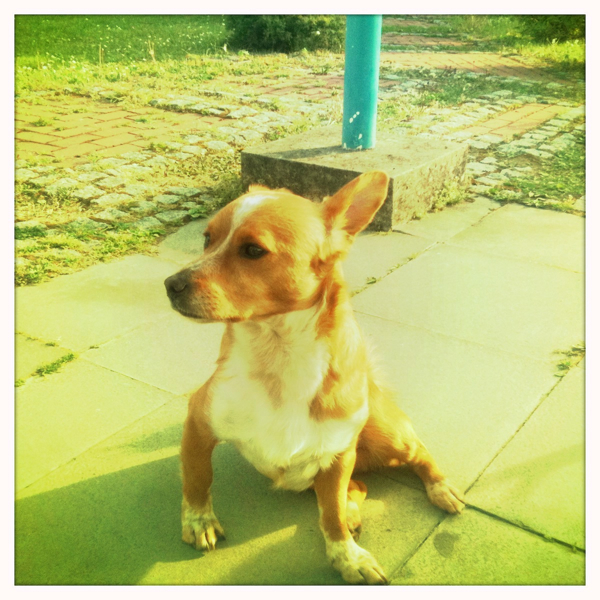 Hip 326738044.980600