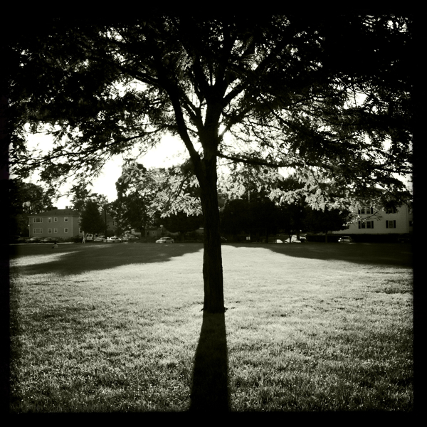 Hip 335745194.128873