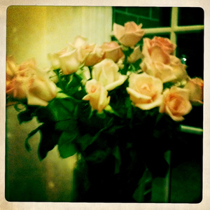 Hip 335754037.210066