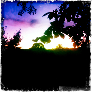 Hip 335754346.547355