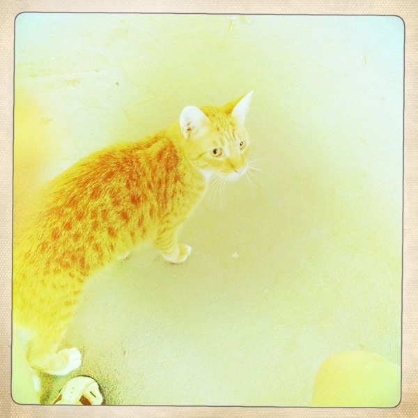 Hip 332168813.962879