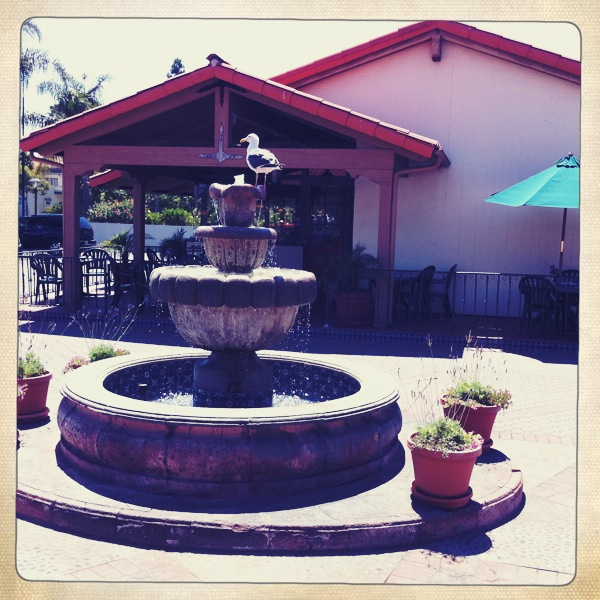 Hip 331335308.514794