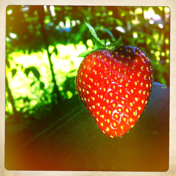 Hip 335686356.320581