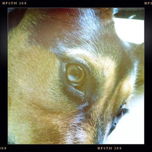 Hip 334688314.932680