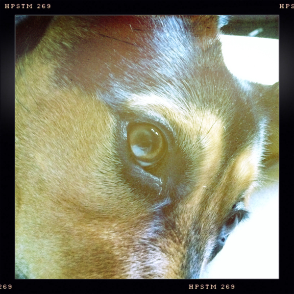 Hip 334688314.932680