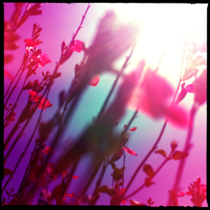 Hip 335473525.809104