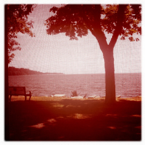 Hip 334530254.176869