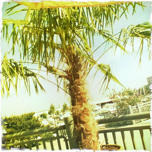 Hip 335658084.597505