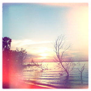 Hip 331955219.762061