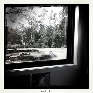 Hip 335746773.904649