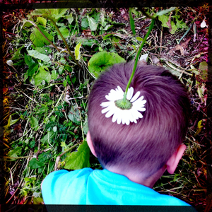 Hip 331233782.617206