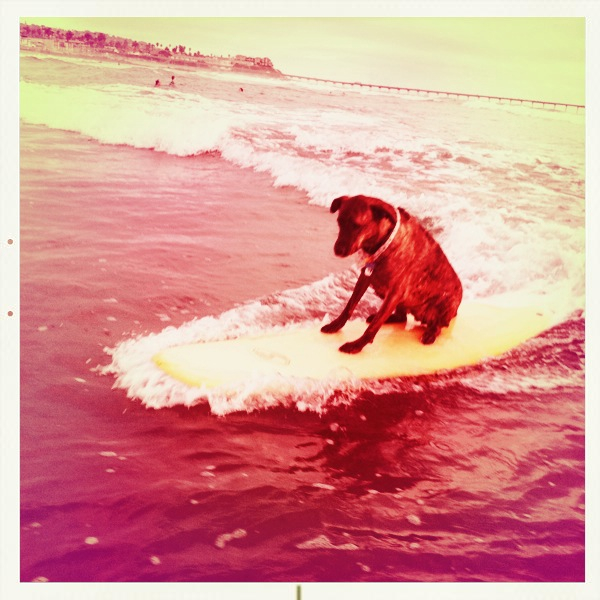 Hip 332821243.712535