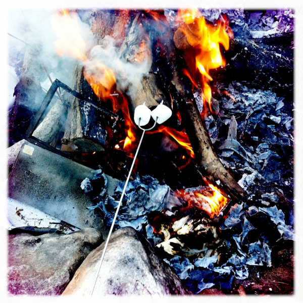 Hip 334709000.545300