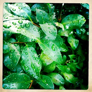 Hip 333888469.063790