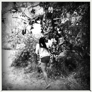 Hip 334015699.148121