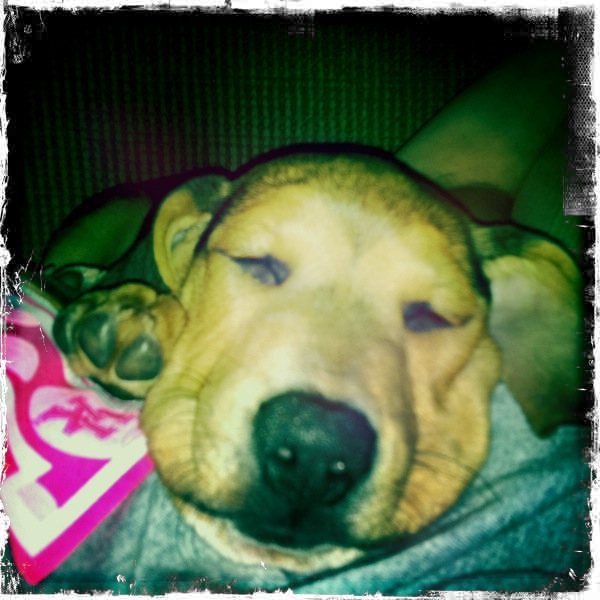 Hip 335763525.833986