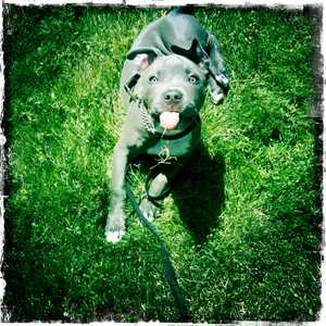 Hip 335653629.762673